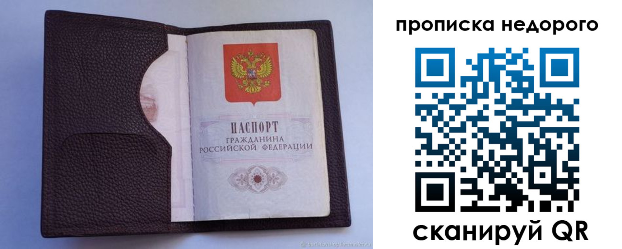 прописка законно в Лузе